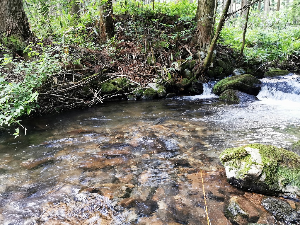 自分が新システムと思ったのは ドライドロッパー の釣りだったと判明 Youは何しに真庭へ